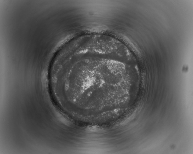 X0000102350634200808291202