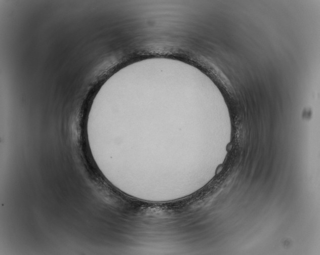 X0000102350635200808291202