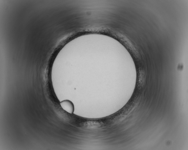 X0000102350636200808291202