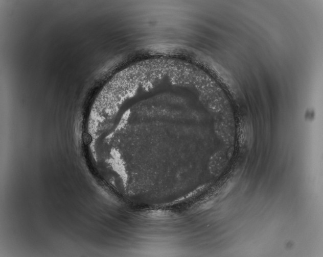 X0000102350637200808291202