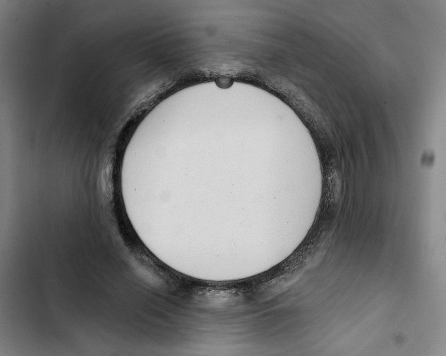 X0000102350638200808291202