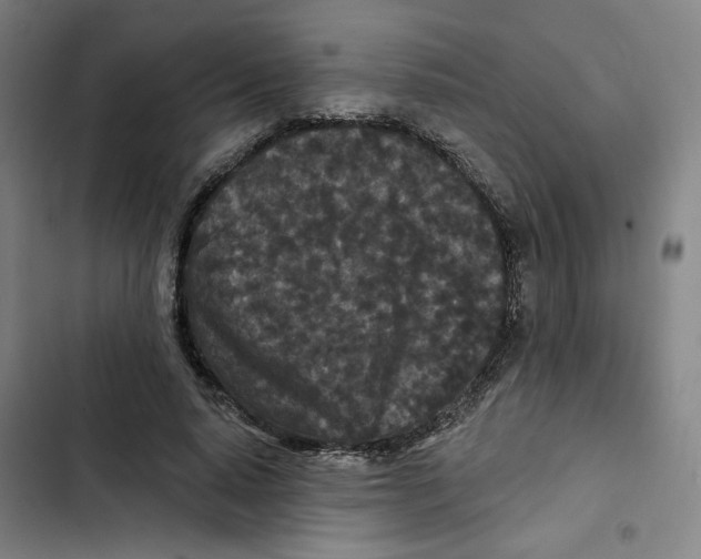 X0000102350640200808291202