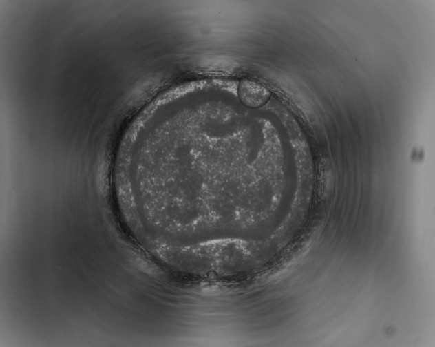 X0000102350641200808291202