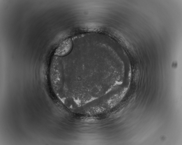 X0000102350643200808291202
