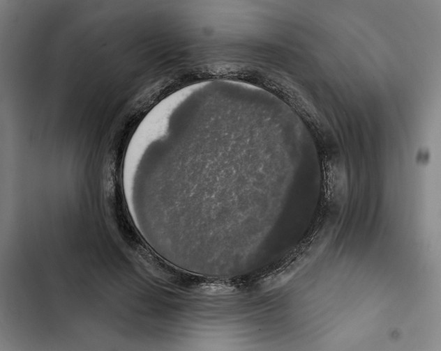 X0000102350644200808291202