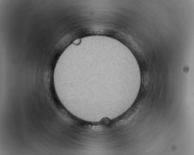 X0000102350645200808291202
