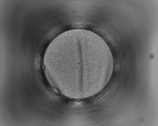 X0000102350647200808291202