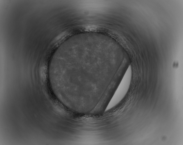 X0000102350648200808291202