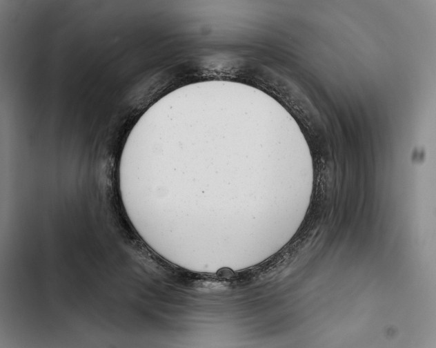 X0000102350649200808291202
