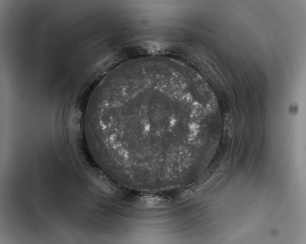 X0000102350650200808291202
