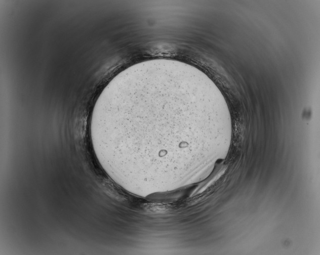 X0000102350652200808291202