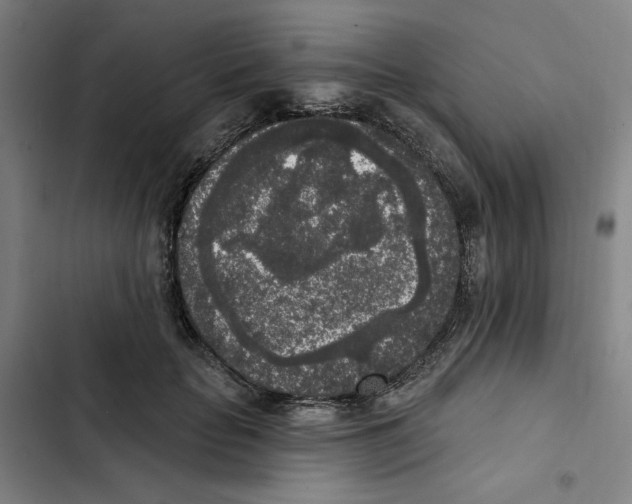 X0000102350653200808291202