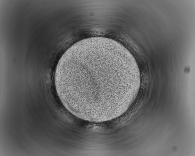 X0000102350655200808291202