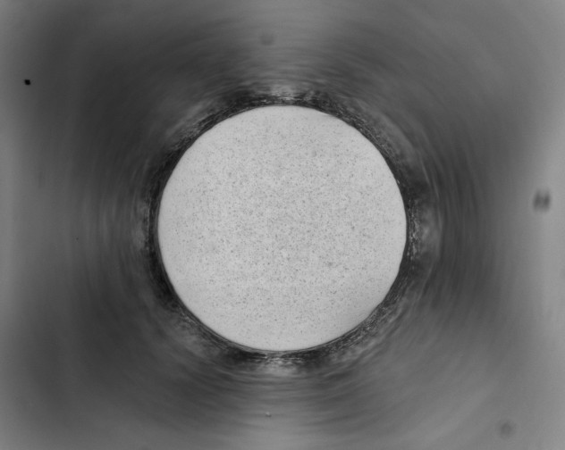 X0000102350656200808291202