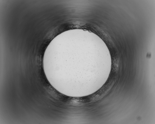 X0000102350657200808291202