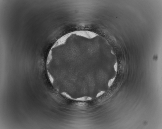 X0000102350659200808291202
