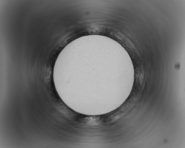 X0000102350660200808291202