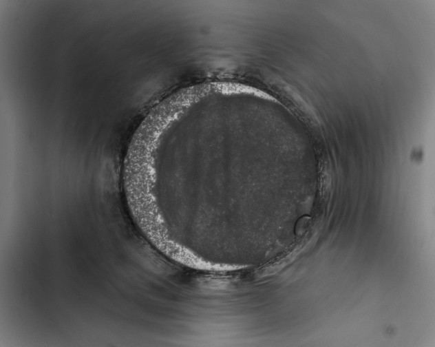 X0000102350661200808291202