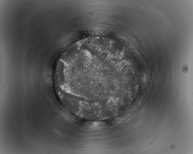 X0000102350663200808291202
