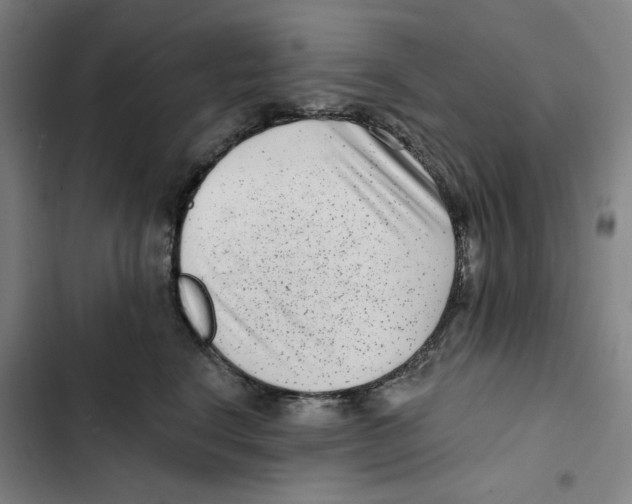 X0000102350664200808291202
