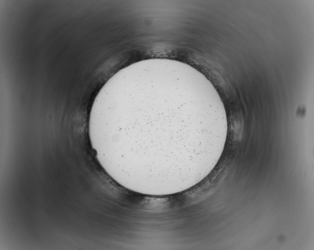 X0000102350665200808291202