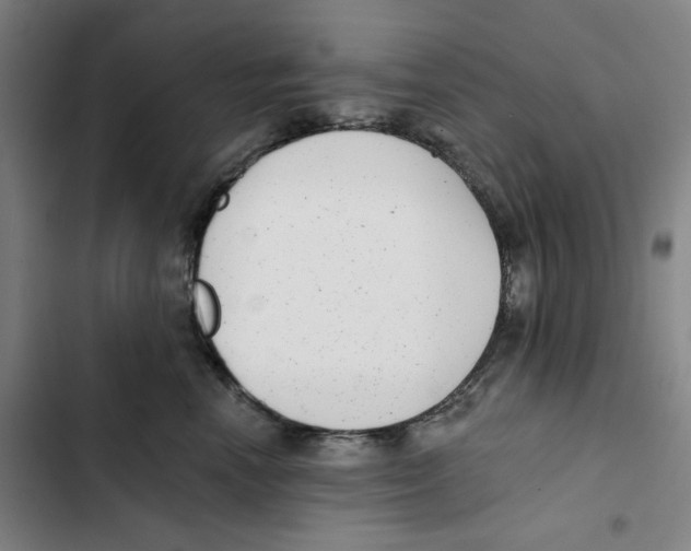 X0000102350666200808291202