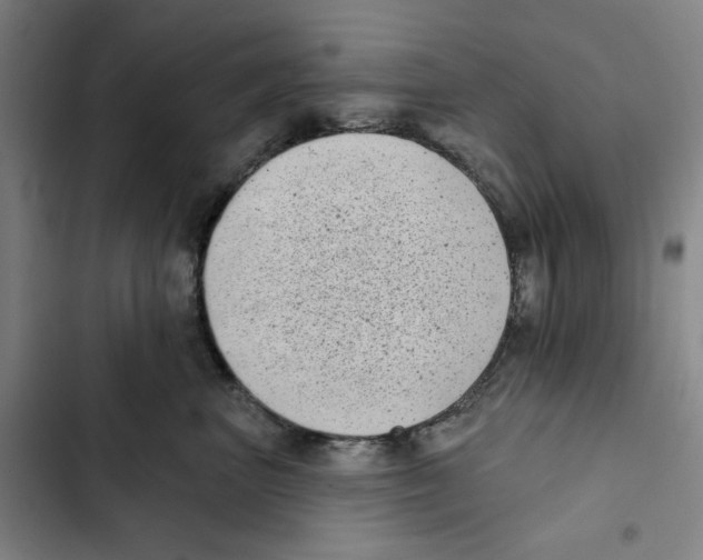 X0000102350667200808291202