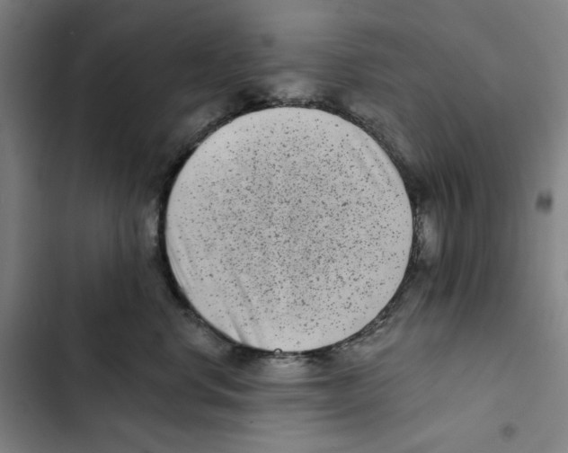 X0000102350668200808291202