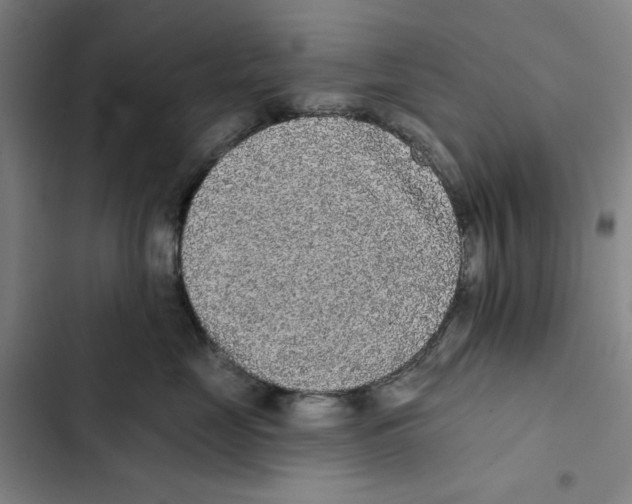 X0000102350669200808291202