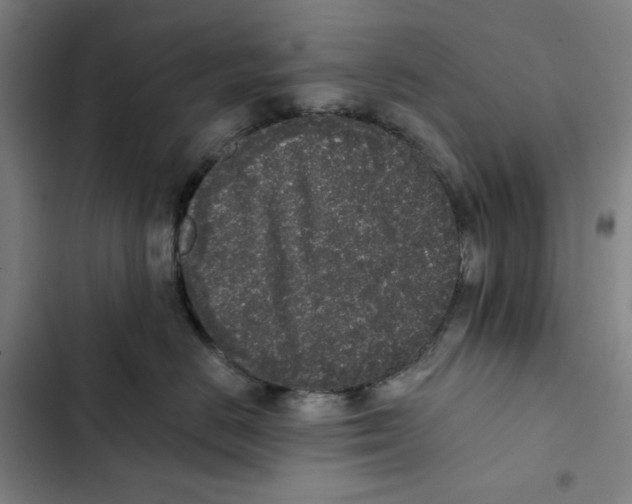 X0000102350670200808291202