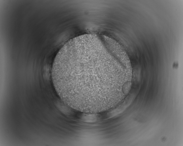 X0000102350671200808291202