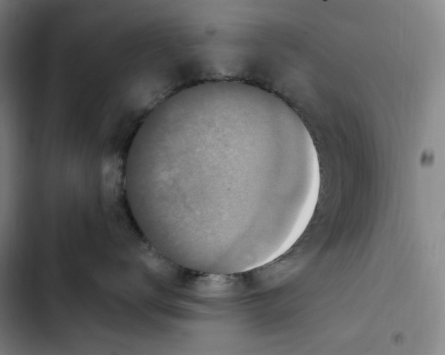 X0000102350672200808291202