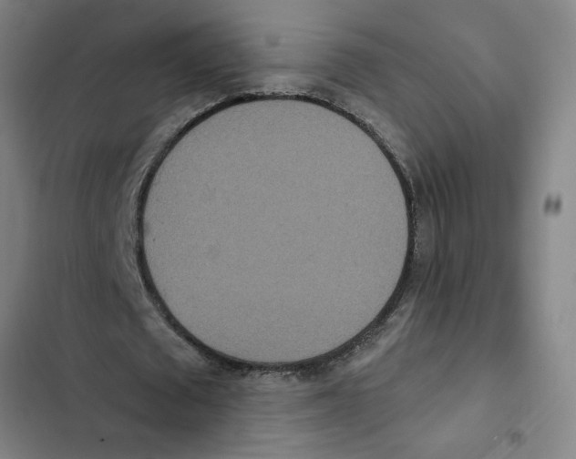 X0000102350673200808291202
