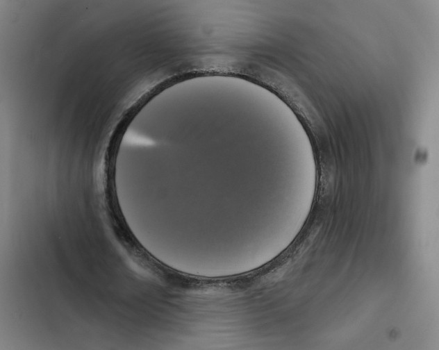 X0000102350674200808291202