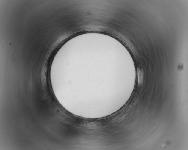 X0000102350675200808291202