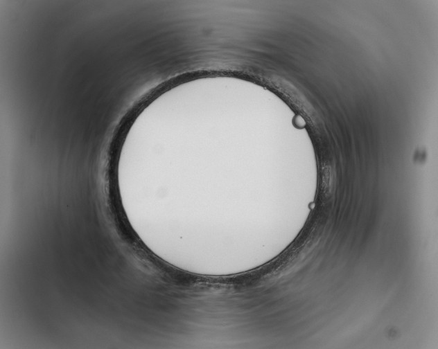 X0000102350676200808291202
