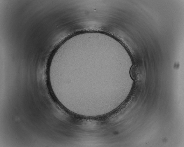 X0000102350677200808291202