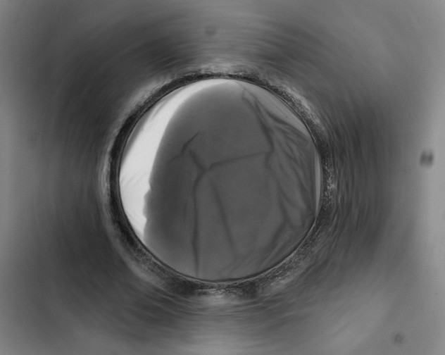X0000102350678200808291202