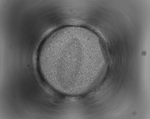 X0000102350679200808291202