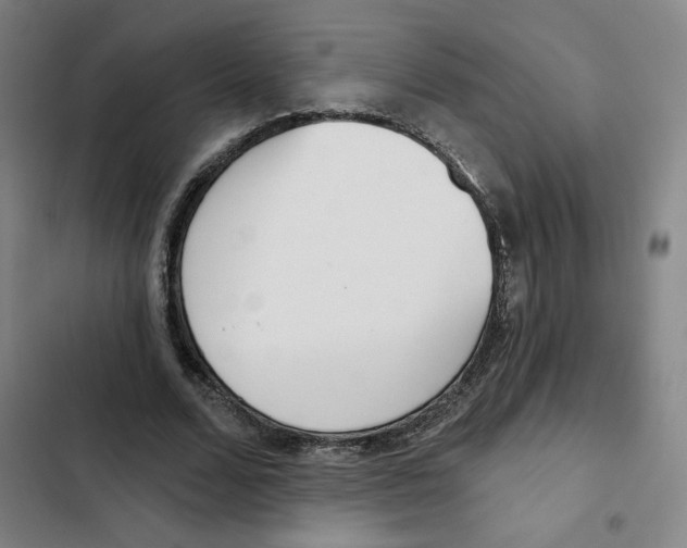 X0000102350680200808291202