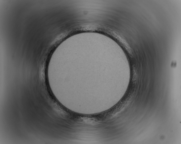 X0000102350681200808291202