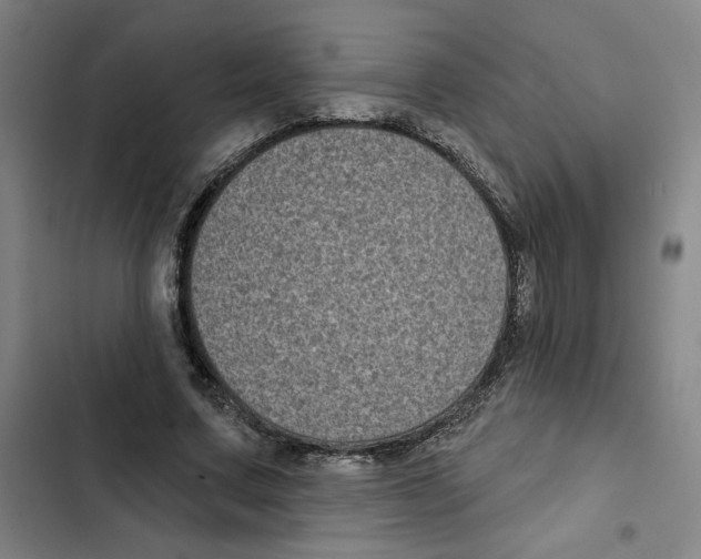 X0000102350683200808291202