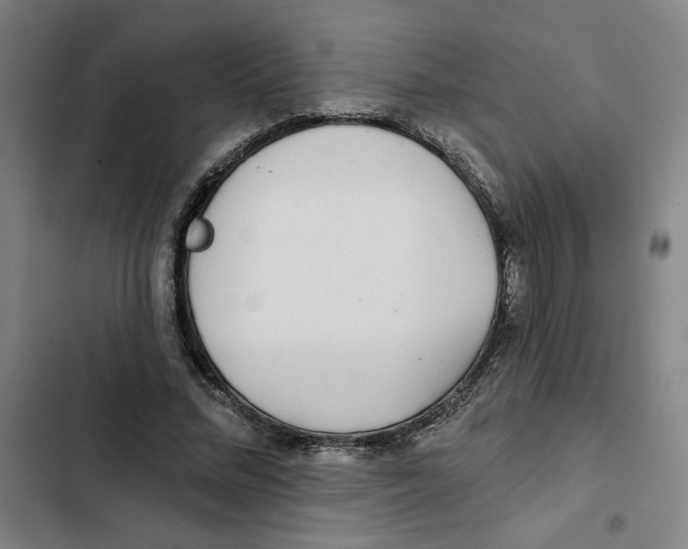 X0000102350684200808291202