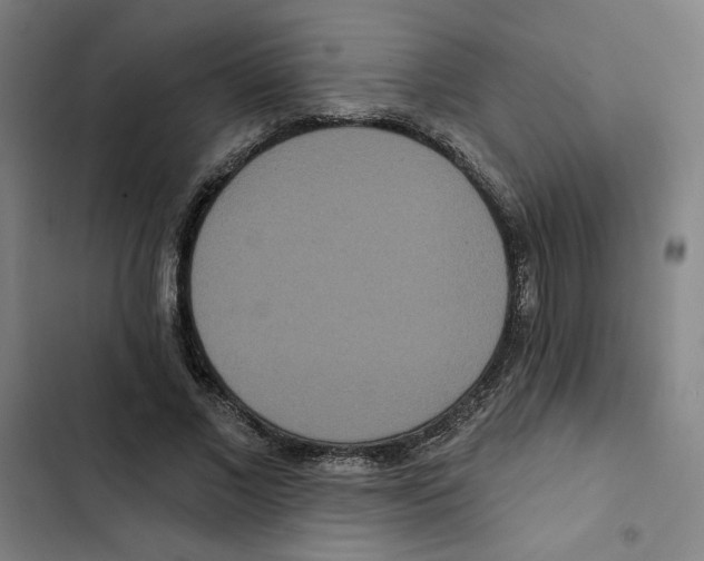 X0000102350685200808291202
