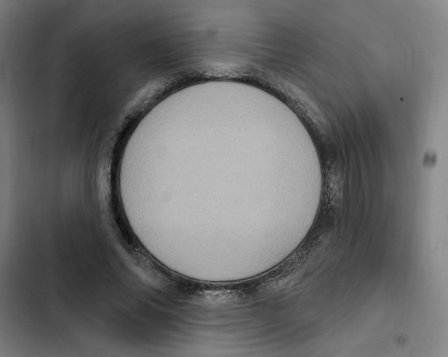 X0000102350686200808291202