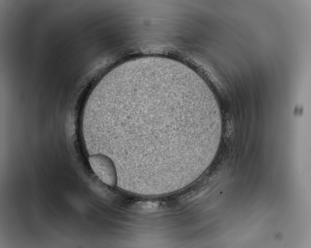X0000102350687200808291202