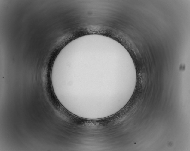 X0000102350690200808291201
