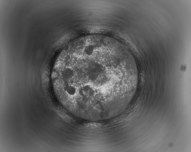X0000102350691200808291201