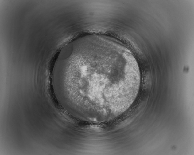 X0000102350692200808291201