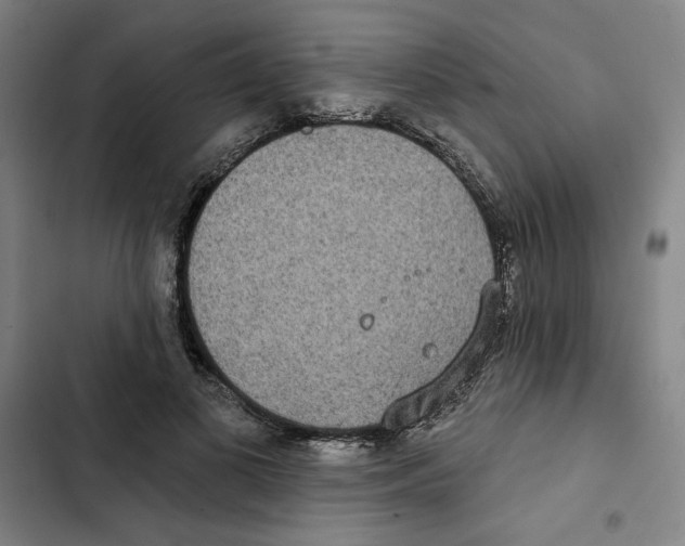 X0000102350693200808291201